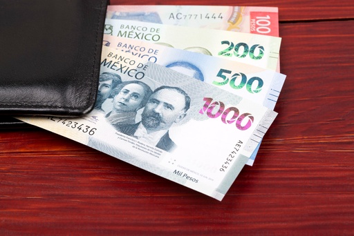 Curso Core Expense | Reembolsos